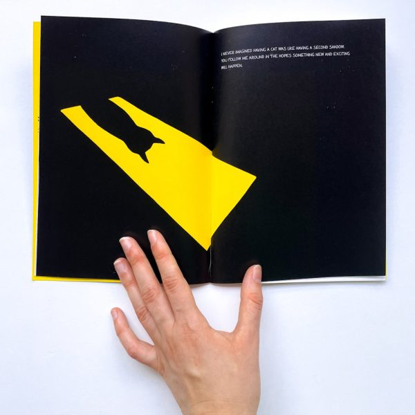 Livro ilustrado 'Life with a Cat' - Image 2