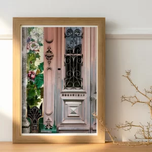 Portugal . Porto . Porta nº3 "Rosa"