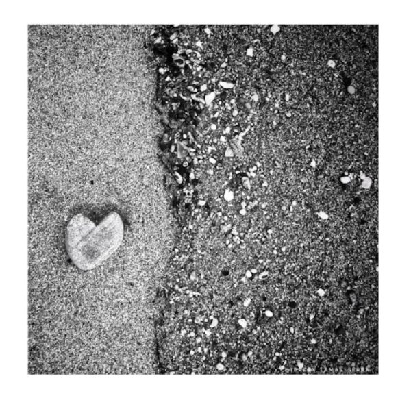 Amor - Image 2